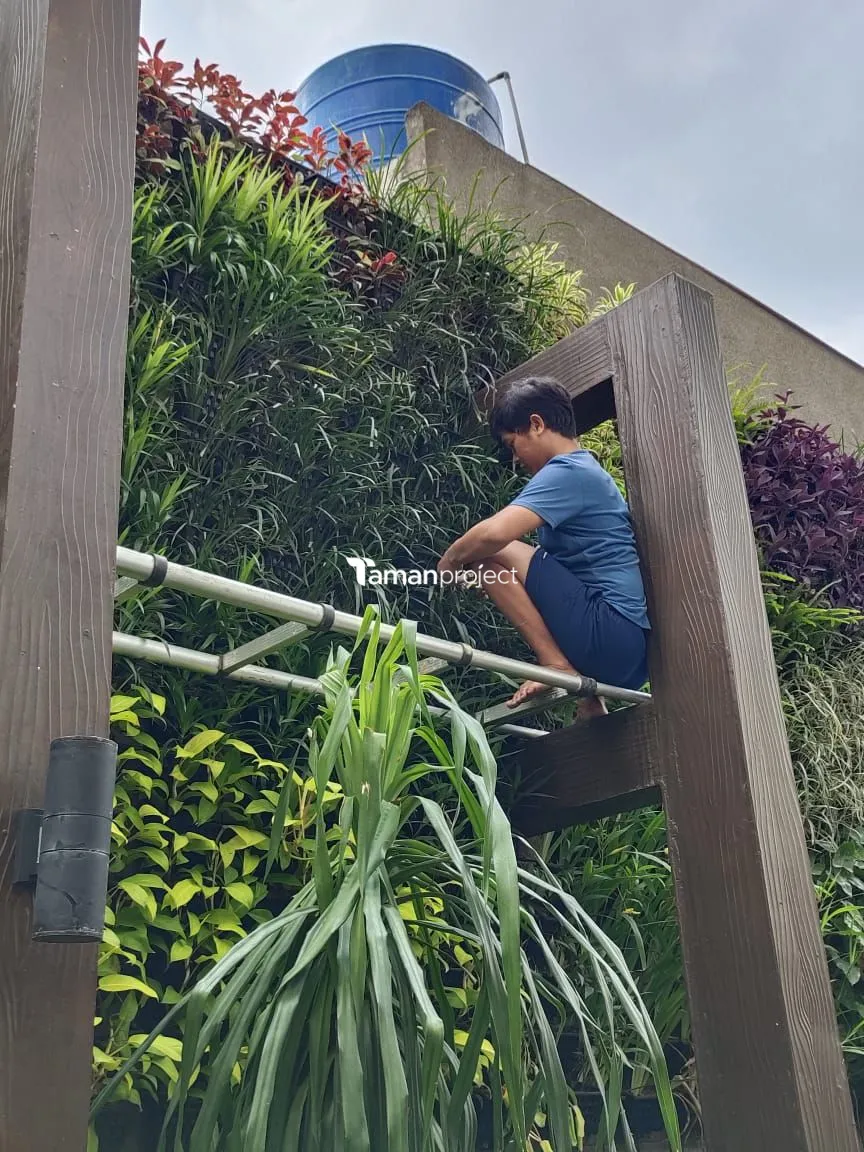 vertical garden the home srengseng